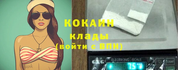 метадон Алексин