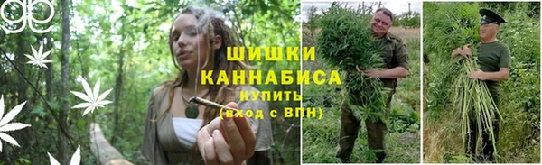 метадон Алексин