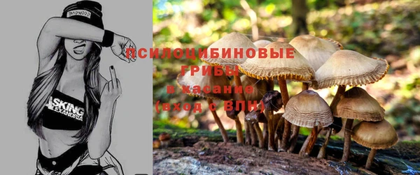 молекула духа Сафоново