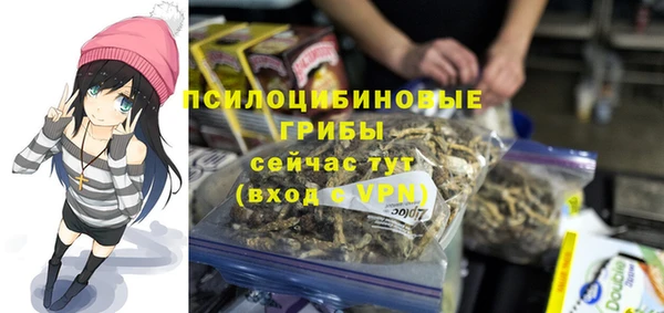 метадон Алексин