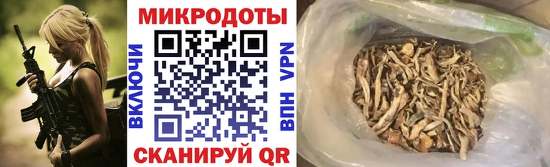 Псилоцибиновые грибы Cubensis  наркотики  Вилючинск 